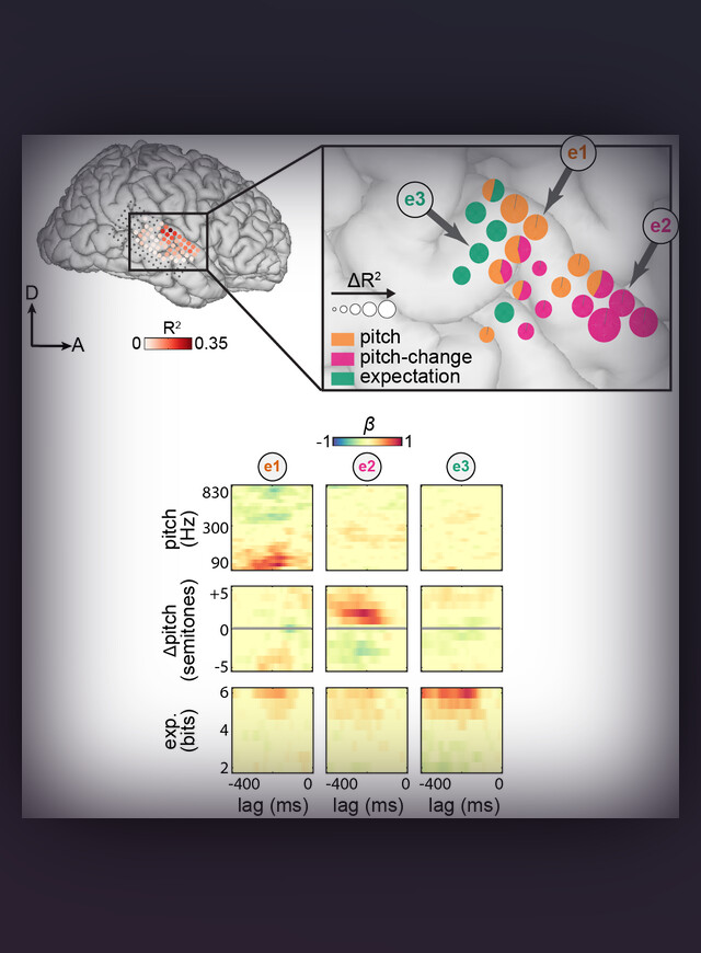 Brain surface map and electrode response heatmaps showing neural encoding of pitch, pitch-change, and melodic expectation